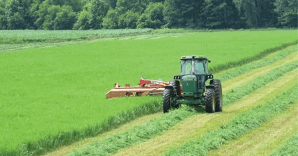 Featured Image for 3 Benefits to Managing Your Hayfields Year-Round